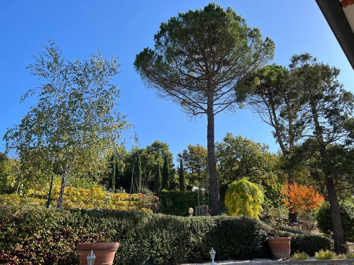 הוילה סן פליצ'יאנו Casa Dei Tramonti מראה חיצוני תמונה